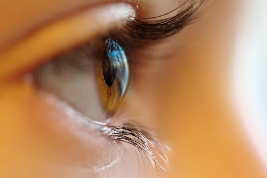 eye
