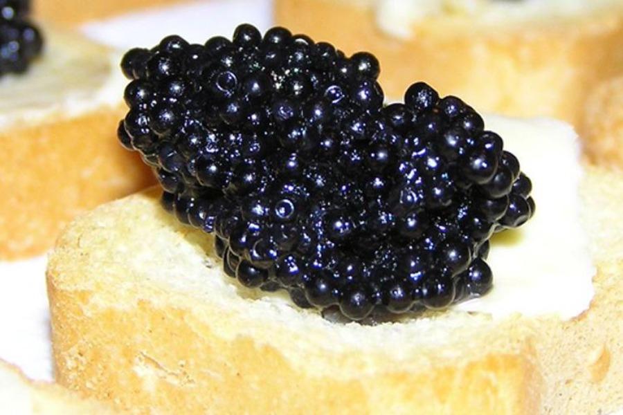 Caviar